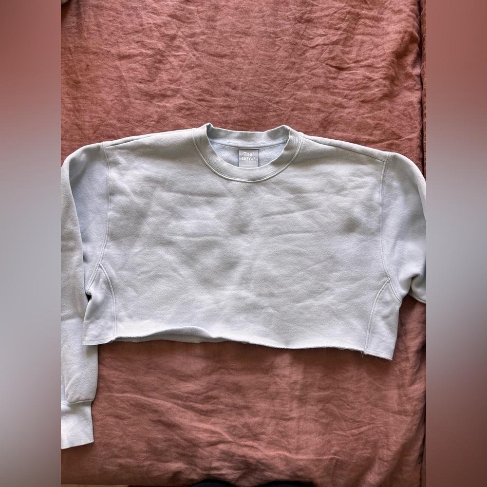 TNA Light Gray Cropped Sweatshirt